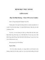 BỆNH HỌC THỰC HÀNH - LIÊM SANG ppsx