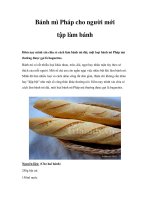 Bánh mì Pháp cho người mới tập làm bánh pdf