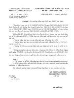 Yêu cầu báo cáo GD dân tộc, XMC-PCGD, GDTX