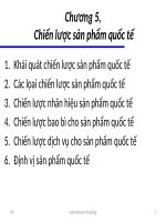 Chương 5- Chiến lược sản phẩm quốc tế pptx