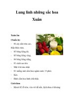 Lung linh những sắc hoa Xuân potx