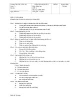 Đề -đáp án kiểm tra cuối kỳ II lớp 4