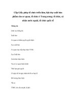 Cấp Giấy phép tổ chức triển lãm, hội chợ xuất bản phẩm cho cơ quan, tổ chức ở Trung ương; tổ chức, cá nhân nước ngoài, tổ chức quốc tế pot