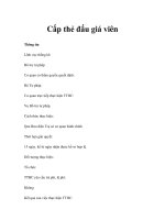 Cấp thẻ đấu giá viên docx