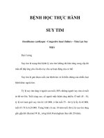 BỆNH HỌC THỰC HÀNH - SUY TIM ppt