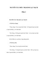 NGUYÊN TẮC ĐIỀU TRỊ KINH LẠC MẠCH - Phần 3 - NGUYÊN TẮC TRỊ LIỆU LẠC MẠCH pot