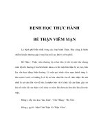 BỆNH HỌC THỰC HÀNH - BỂ THẬN VIÊM MẠN ppsx