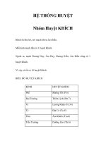 HỆ THỐNG HUYỆT - Nhóm Huyệt KHÍCH pdf