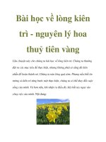 Bài học về lòng kiên trì - nguyên lý hoa thuỷ tiên vàng pps