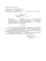 BIỂU MẪU ĐẠI HỘI CHI ĐOÀN