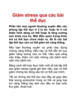 Giảm stress qua các bài thể dục pps