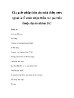 Cấp giấy phép thầu cho nhà thầu nước ngoài là tổ chức nhận thầu các gói thầu thuộc dự án nhóm B,C potx