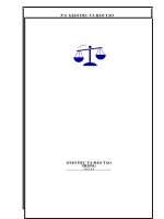 SÁNG KIẾN KINH NGHIỆM KINH NGHIỆM CHỈ ĐẠO VIỆC SỬ DỤNG THIẾT BỊ DẠY HỌC TRONG TRƯỜNG THCS