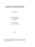 LAO PDR AND WTO ACCESSION: IMPLICATIONS  FOR AGRICULTURE AND RURAL DEVELOPMENT