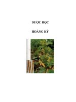 DƯỢC HỌC - HOÀNG KỲ docx