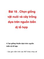 Bài 18 . Chọn giống vật nuôi và cây trồng dựa trên nguồn biến dị tổ hợp pptx