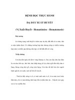 BỆNH HỌC THỰC HÀNH - DẠ DÀY XUẤT HUYẾT ppt