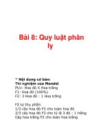Bài 8: Quy luật phân ly ppsx