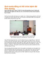 Khổ qua có khả năng chữa bệnh đái tháo đường