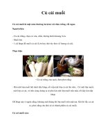 Củ cải muối doc