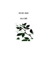 DƯỢC HỌC - BA CHẼ pps