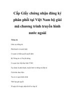 Cấp Giấy chứng nhận đăng ký phân phối tại Việt Nam bộ giải mã chương trình truyền hình nước ngoài pps