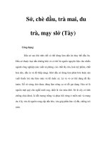 Sở, chè dầu, trà mai, du trà, mạy slở (Tày) pdf