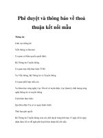 Phê duyệt và thông báo về thoả thuận kết nối mẫu pptx