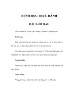 BỆNH HỌC THỰC HÀNH - ĐẦU GỐI ĐAU docx