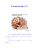 PHÁC ĐỒ ĐIỀU TRỊ U NÃO pps