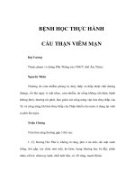 BỆNH HỌC THỰC HÀNH - CẦU THẬN VIÊM MẠN ppt