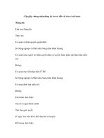 Cấp giấy chứng nhận đăng ký tàu cá đối với tàu cá cải hoán doc