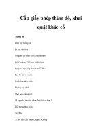 Cấp giấy phép thăm dò, khai quật khảo cổ docx