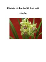 Cấu trúc cây hoa lan ppsx