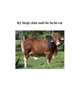 Kỹ thuật chăn nuôi bò Sa-hi-val potx