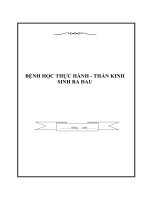 BỆNH HỌC THỰC HÀNH - THẦN KINH SINH BA ĐAU pot