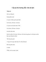 Cấp lại thẻ hướng dẫn viên du lịch pot