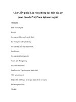 Cấp Giấy phép Lập văn phòng đại diện của cơ quan báo chí Việt Nam tại nước ngoài pptx