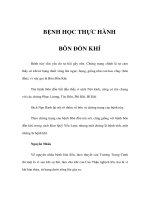 BỆNH HỌC THỰC HÀNH - BÔN ĐỒN KHÍ pot