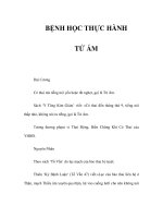 BỆNH HỌC THỰC HÀNH - TỬ ÁM pot