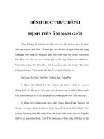 BỆNH HỌC THỰC HÀNH - BỆNH TIỀN ÂM NAM GIỚI ppt