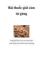 Bài thuốc giải cảm từ gừng pdf