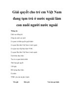 Giải quyết cho trẻ em Việt Nam đang tạm trú ở nước ngoài làm con nuôi người nước ngoài potx