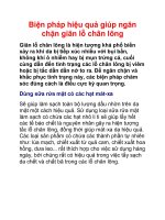 Biện pháp hiệu quả giúp ngăn chặn giãn lỗ chân lông pdf