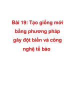 Bài 19: Tạo giống mới bằng phương pháp gây đột biến và công nghệ tế bào pps