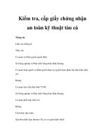 Kiểm tra, cấp giấy chứng nhận an toàn kỹ thuật tàu cá ppsx