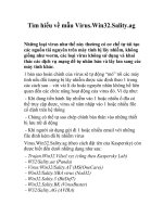 Tìm hiểu về mẫu Virus.Win32.Sality.ag pot