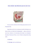 PHÁC ĐỒ ĐIỀU TRỊ VIÊM BÀNG QUANG CHẢY MÁU doc