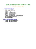 BÀI 5 - HỆ QUẢN TRỊ CSDL MS Access 2003 pdf