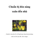 Chuẩn bị đón nàng xuân đến nhà doc